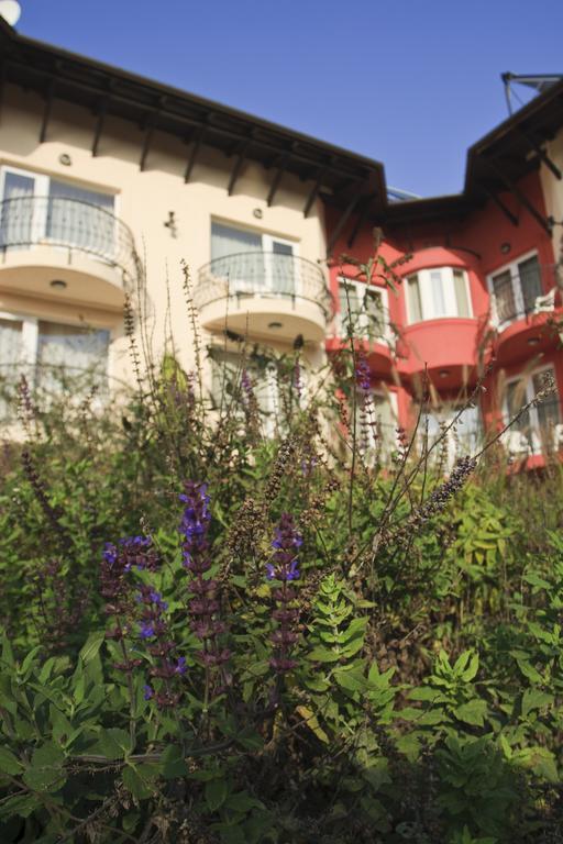 Szonyi Garden Hotel Pest Budapeşte Dış mekan fotoğraf