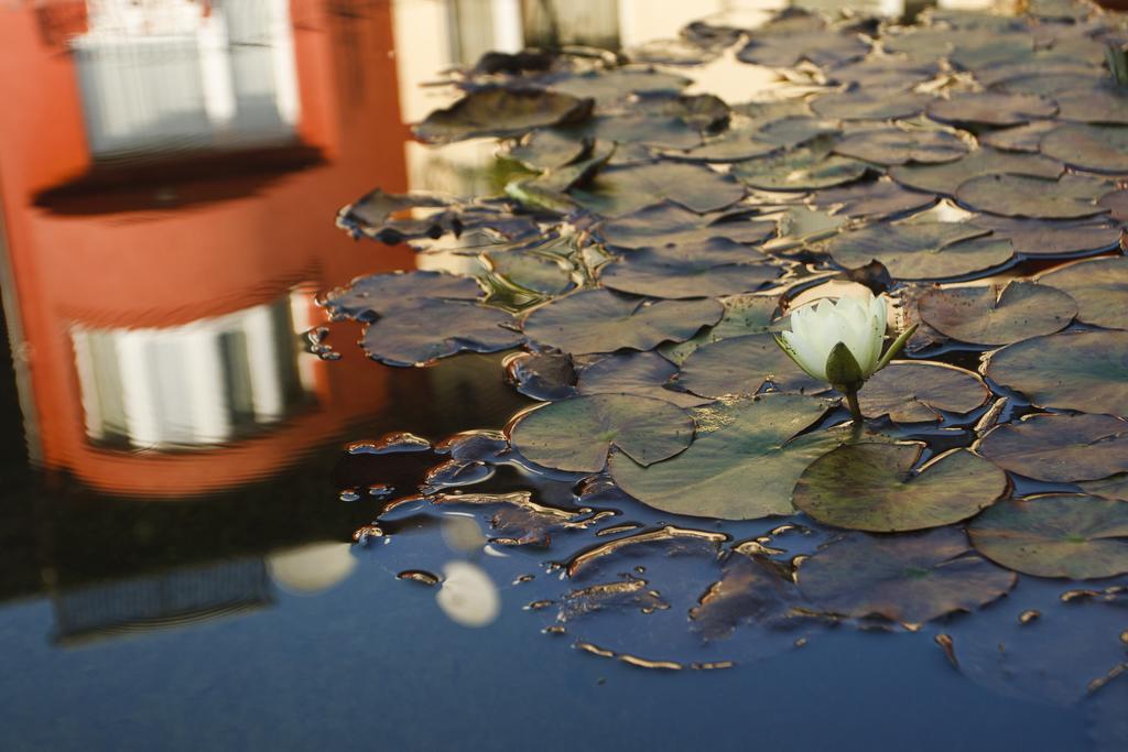 Szonyi Garden Hotel Pest Budapeşte Dış mekan fotoğraf