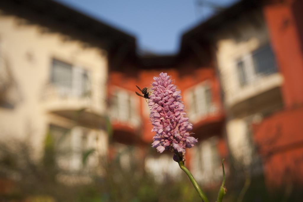 Szonyi Garden Hotel Pest Budapeşte Dış mekan fotoğraf